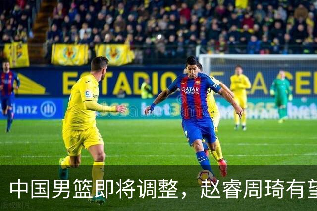 中国男篮即将调整，赵睿周琦有望回归，郭士强压力大！