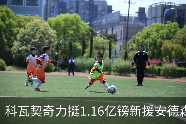 科瓦契奇力挺1.16亿镑新援安德森：有身体有技术，这是笔伟大的签约